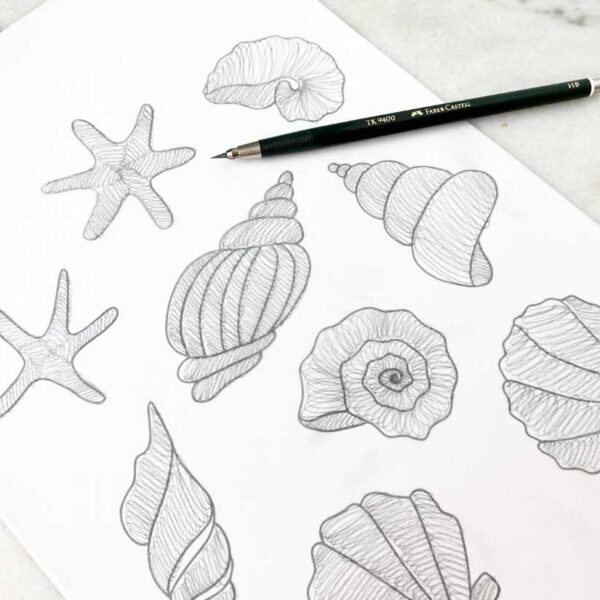 Handlettering-Drills – Aufwärmübungen Muscheln