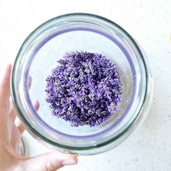 Lavendel-Sirup by Katja Haas