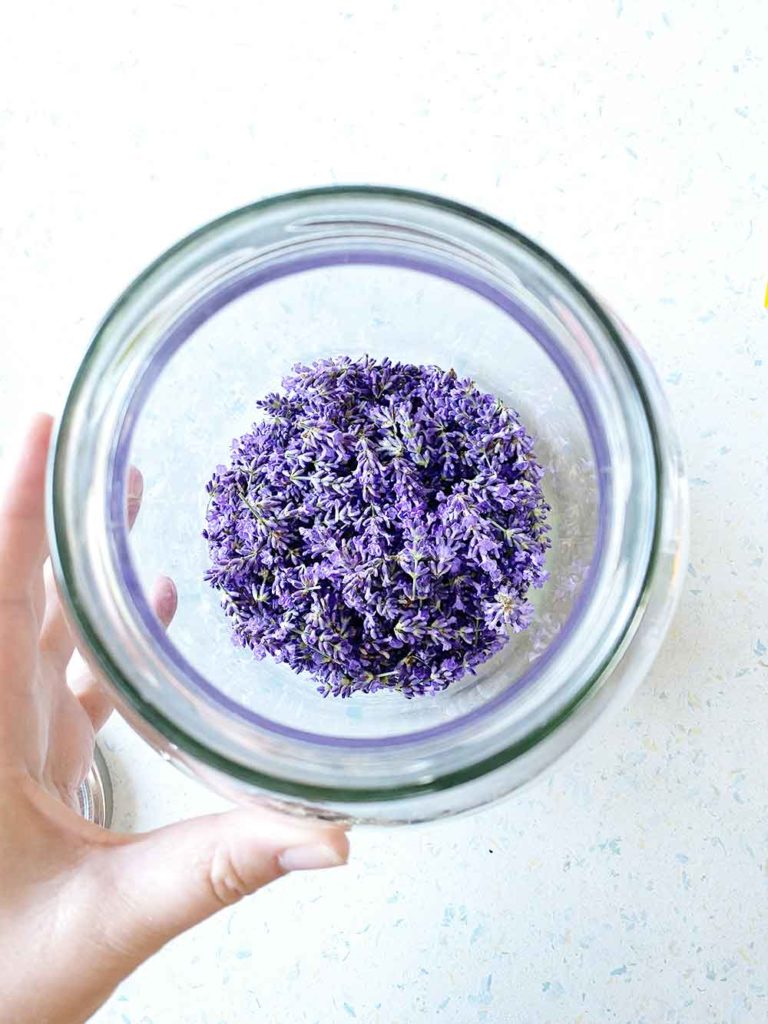 Lavendel-Sirup by Katja Haas