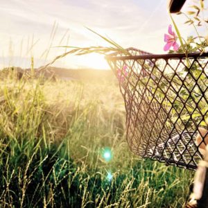 Mit dem Fahrrad in der Natur