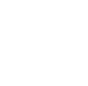 Dahlie-Illustration