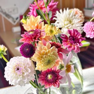 Bunter Dahlien-Mix aus meinem Garten