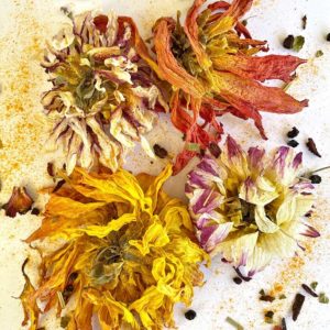Getrocknete Dahlien für Eco-Print