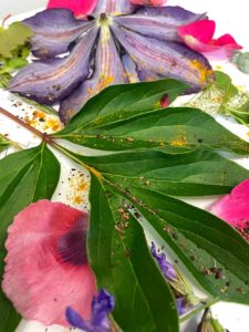 Eco Print – Pflanzendruck auf Papier