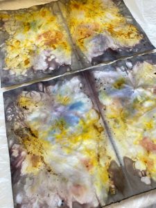 Eco Print – Pflanzendruck auf Papier