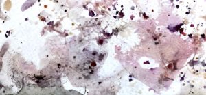 Eco Print – Pflanzendruck auf Papier
