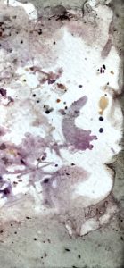 Eco Print – Pflanzendruck auf Papier