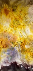 Eco Print – Pflanzendruck auf Papier