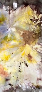 Eco Print – Pflanzendruck auf Papier