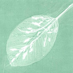 Gelli Print, Geldruck, Gellidruck – drucken mit Gelatine