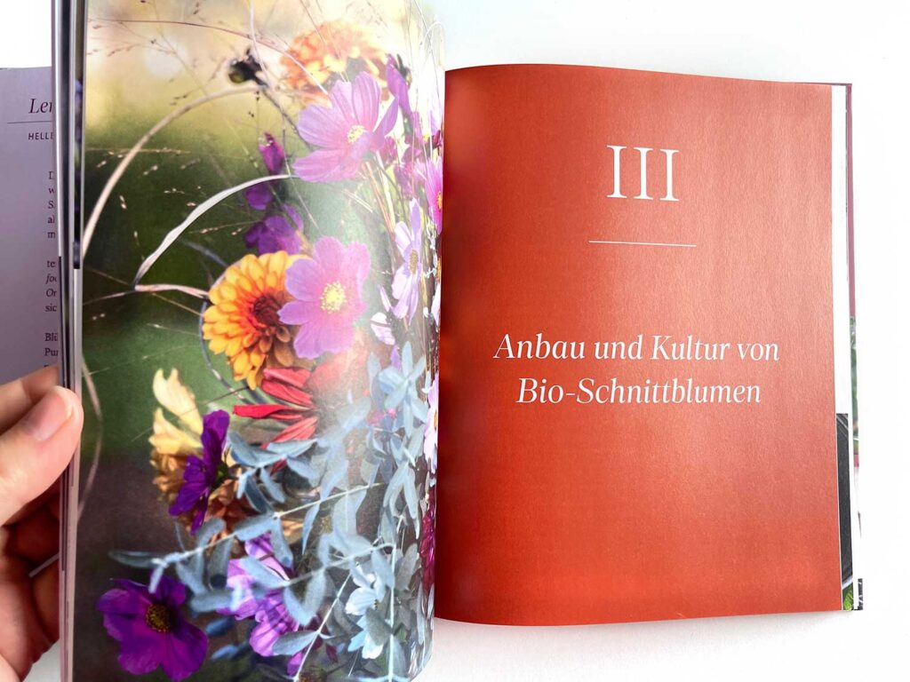 Anbau und Kultur von Bio-Schnittblumen