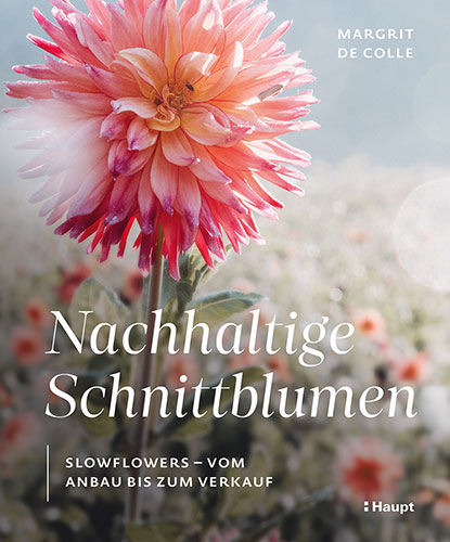 Nachhaltige Schnittblumen – Slowflowers – Vom Anbau bis zum Verkauf