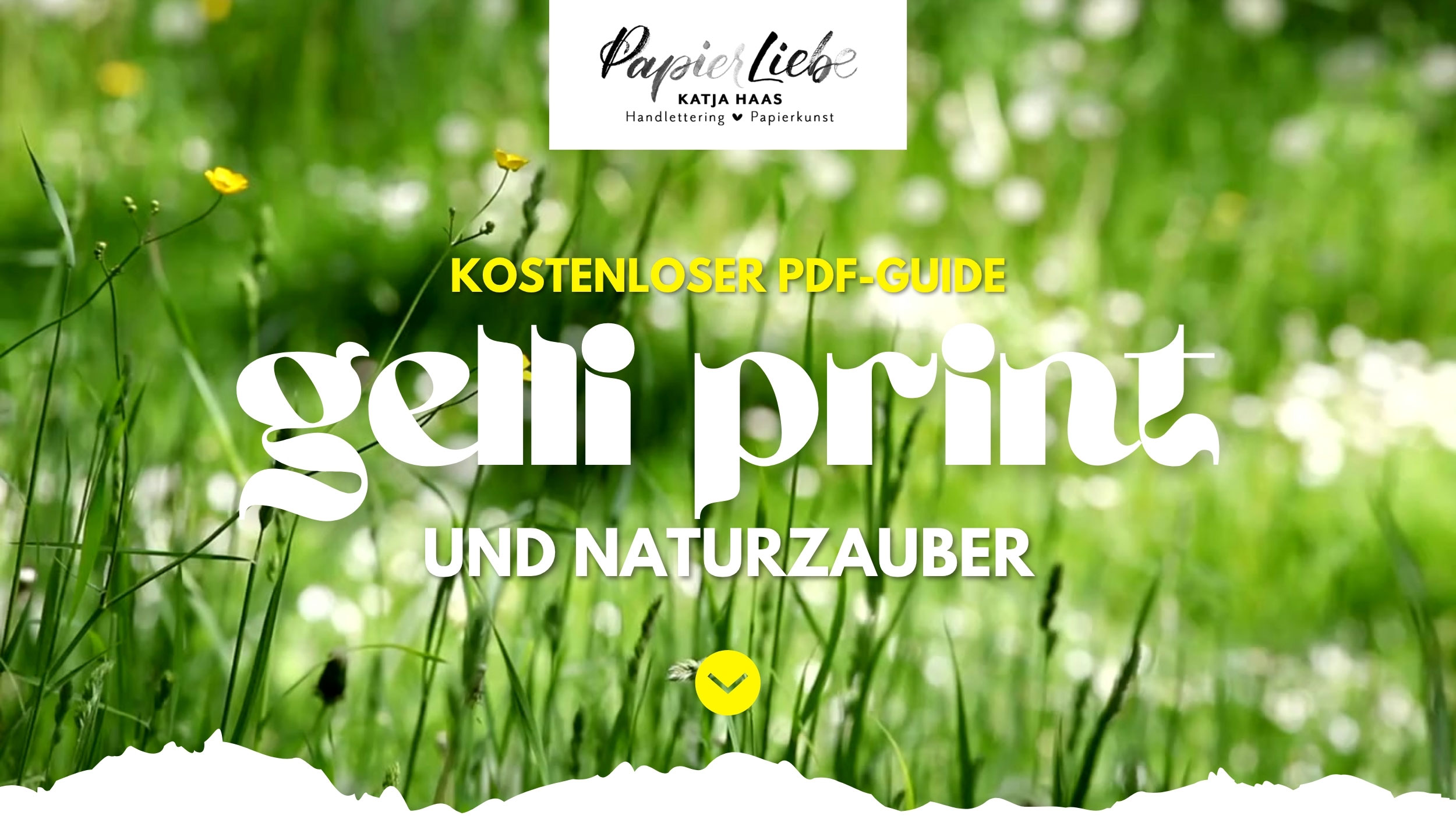Kostenloser PDF-Guide: Gelli Print & Naturzauber