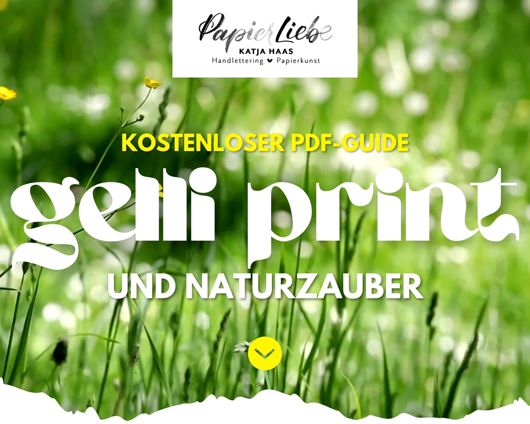 Kostenloser PDF-Guide: Gelli Print & Naturzauber