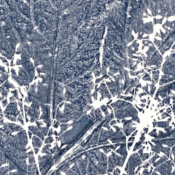 Gelli Print Naturmomente
