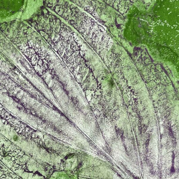 Gelli Print Naturmomente