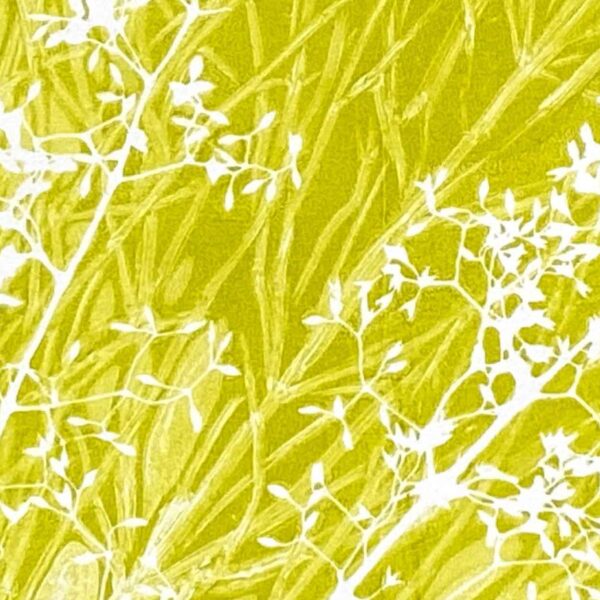 Gelli Print Naturmomente