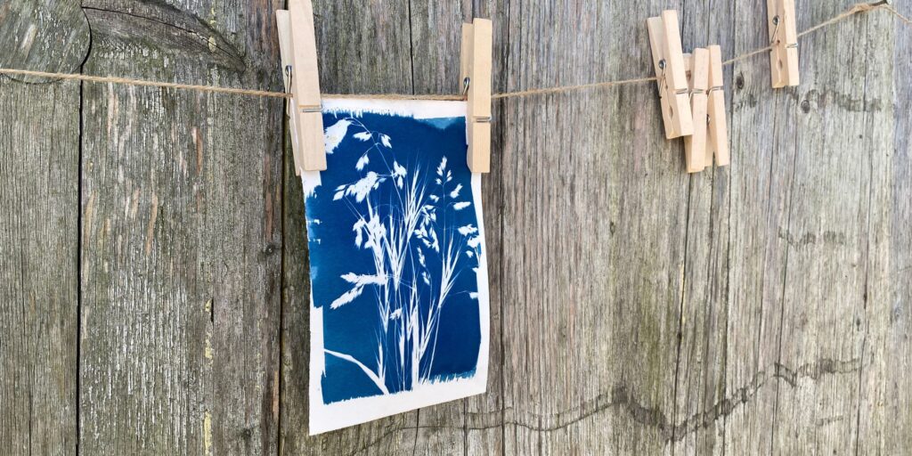 Cyanotypie Papierkunst Katja Haas | Papierliebe