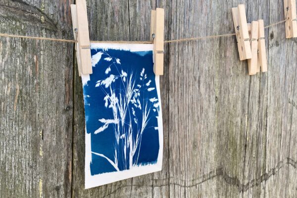 Cyanotypie Papierkunst Katja Haas | Papierliebe