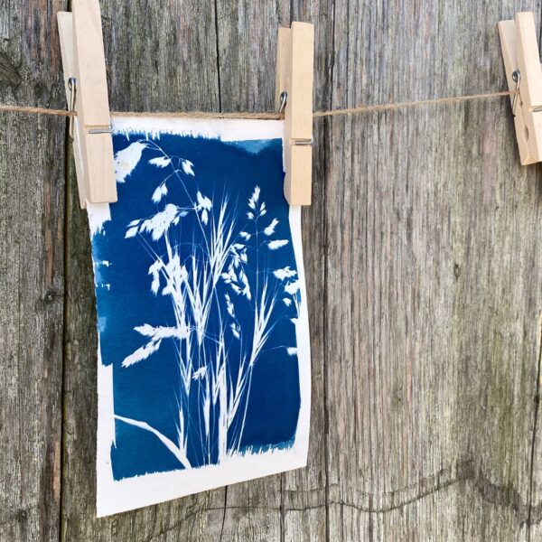 Cyanotypie Papierkunst Katja Haas | Papierliebe