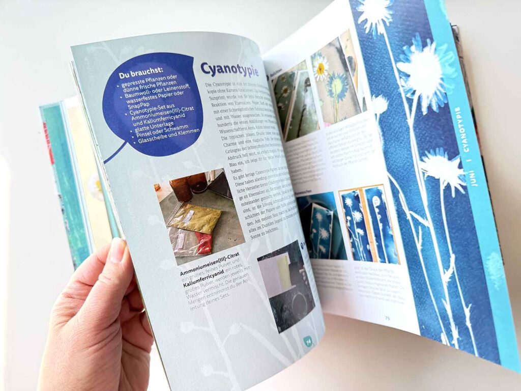 Bunte Blätter – Pflanzendruck auf Stoff und Papier