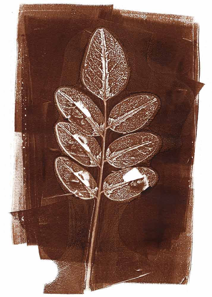 Gelli Print Anleitung – Blätter aus der Natur