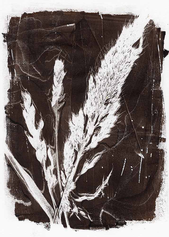 Gelli Print Anleitung – Gräser aus der Natur