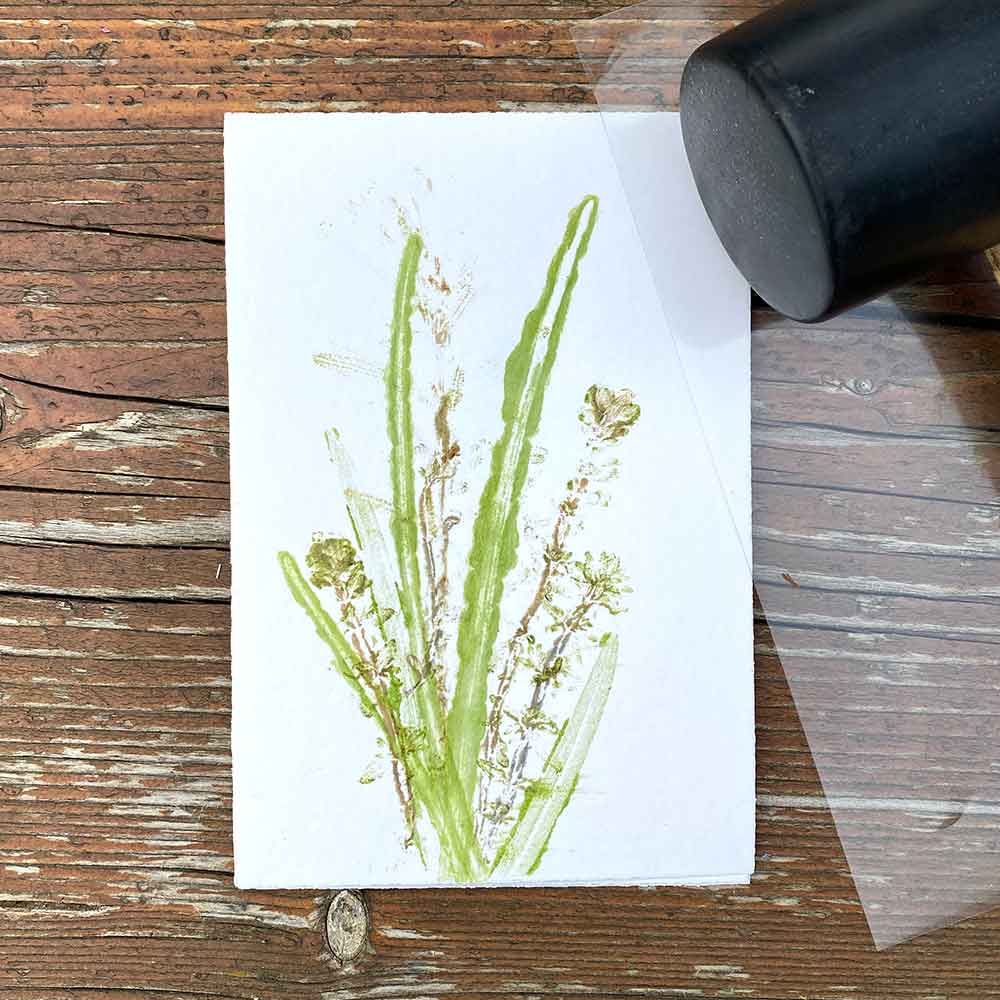 Pflanzendruck Anleitung Blätter und Gräser Detail