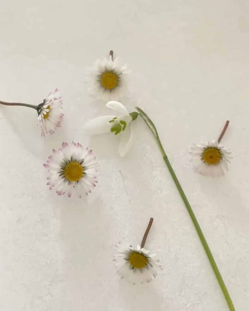 Frühlingszauber auf Papier