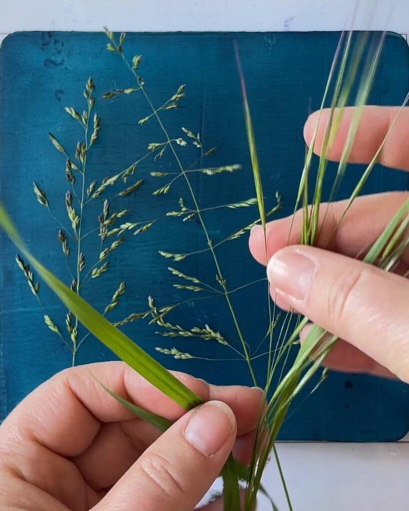 Gelli Print mit unscheinbaren Gräsern aus der Natur