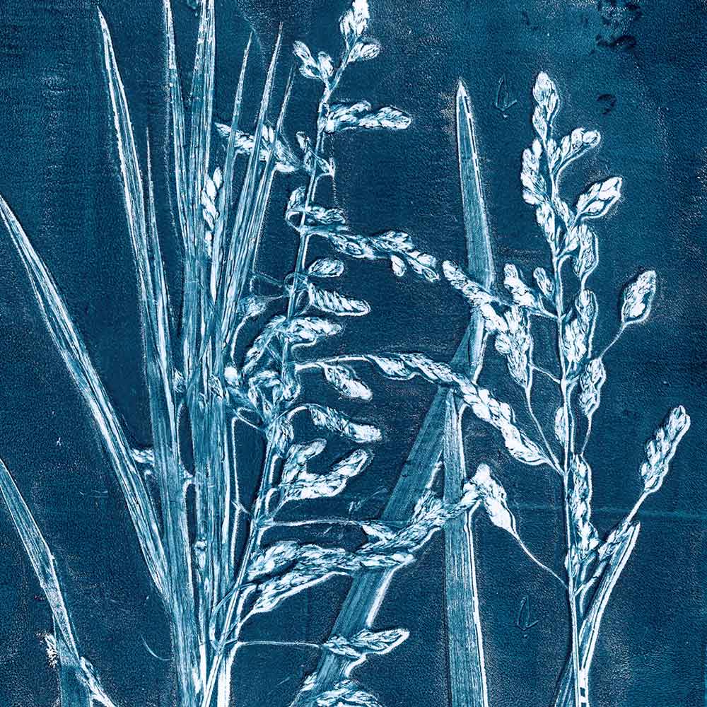 Print a Garden – Pflanzendruck mit der Gelplatte