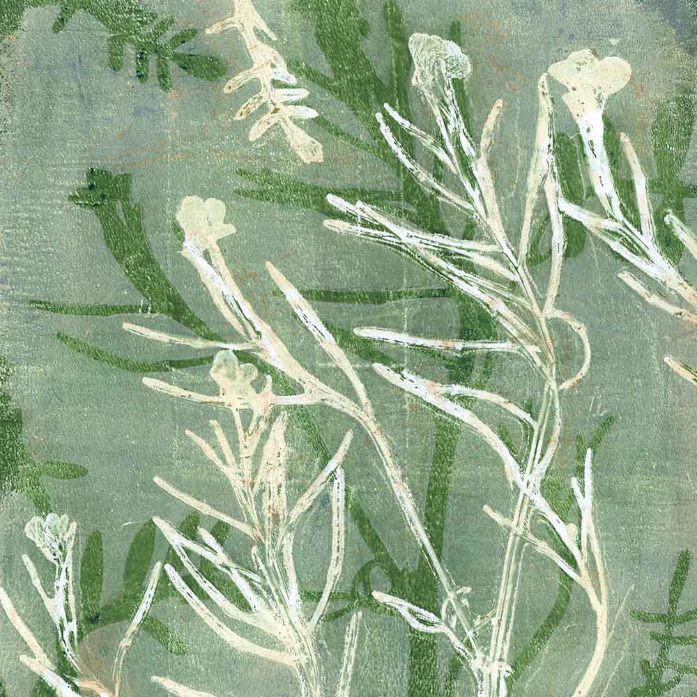 Print a Garden – Pflanzendruck mit der Gelplatte