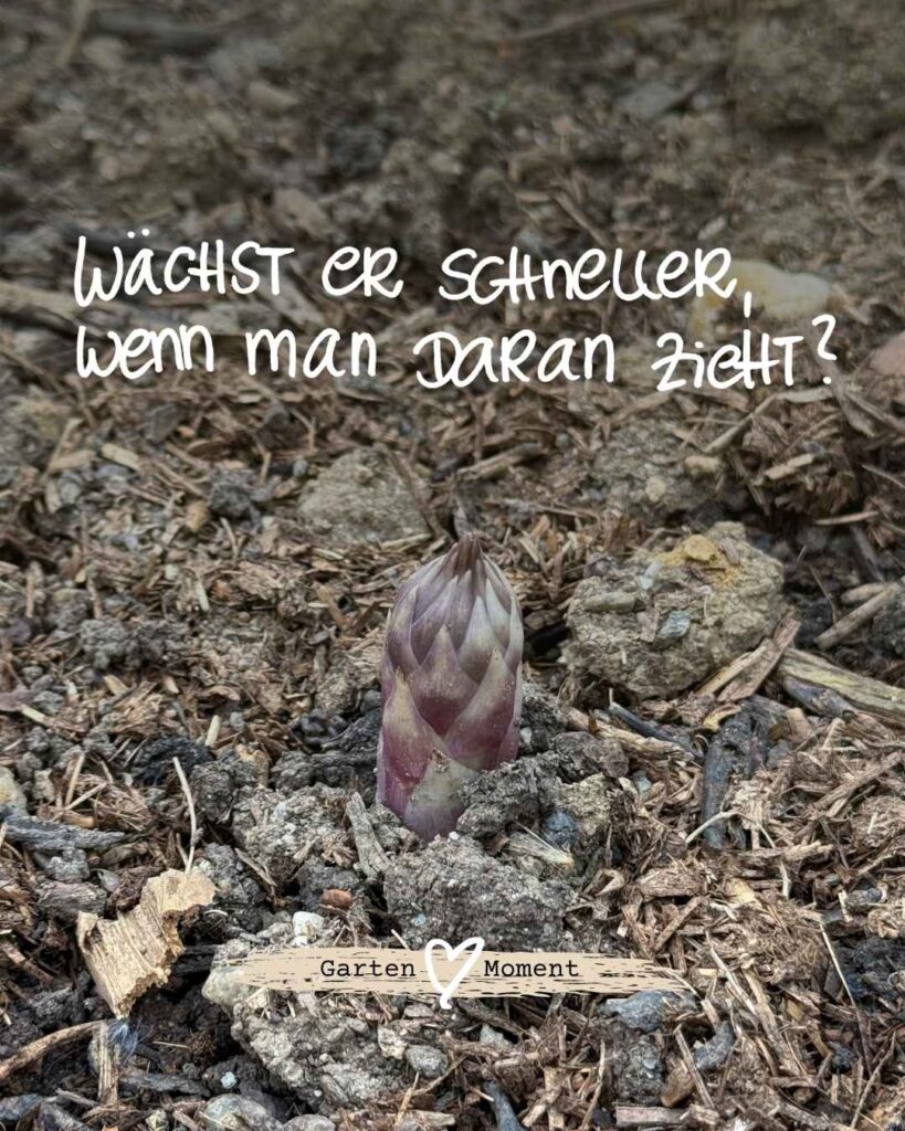 Ideen wachsen ganz leise