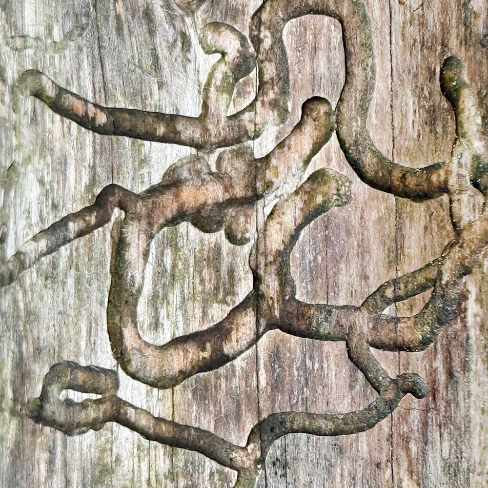 Gelli Print mit Pflanzen: Baumstamm